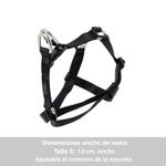 CAMINATA-BRUNNO-N01S