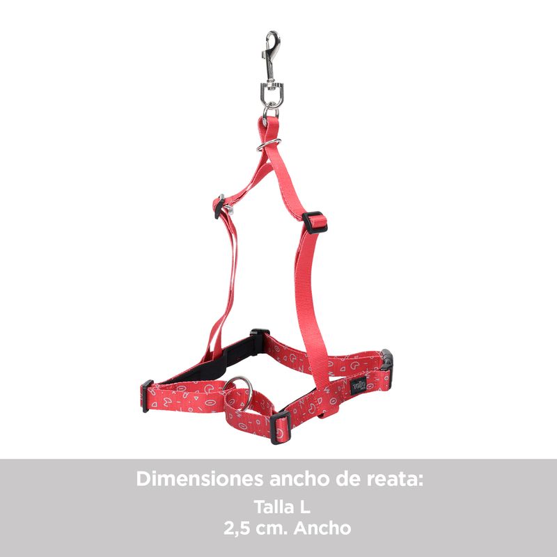 CAMINATA-LOKY-5RXL