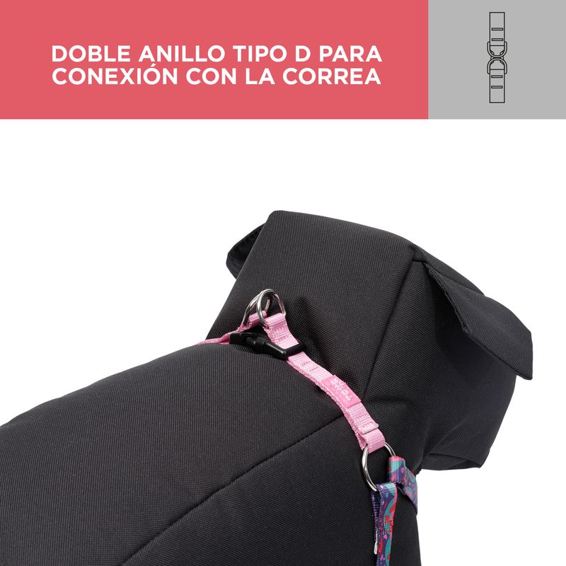CAMINATA-BRUNNO-0QYS