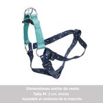 CAMINATA-BRUNNO-1JZXM