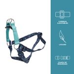 CAMINATA-BRUNNO-1JZXM