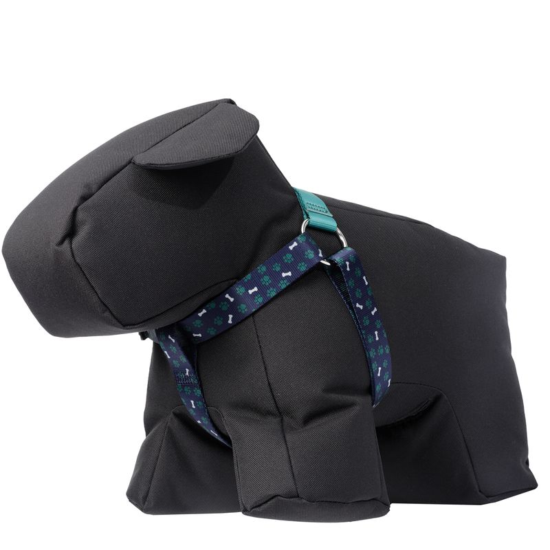 CAMINATA-BRUNNO-1JZXL