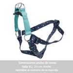 CAMINATA-BRUNNO-1JZXL