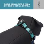 CAMINATA-BRUNNO-1JZXL