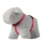 CAMINATA-FIGGO-5RXM